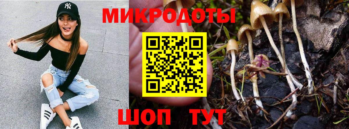 Псилоцибиновые грибы Cubensis  Вход с VPN  Ноябрьск 