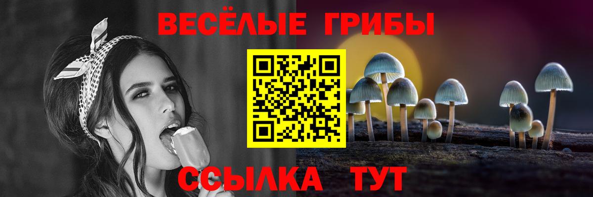 Галлюциногенные грибы Psilocybine cubensis Ноябрьск