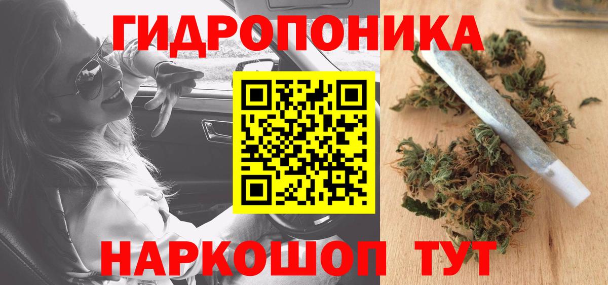 Бошки марихуана сатива Ноябрьск